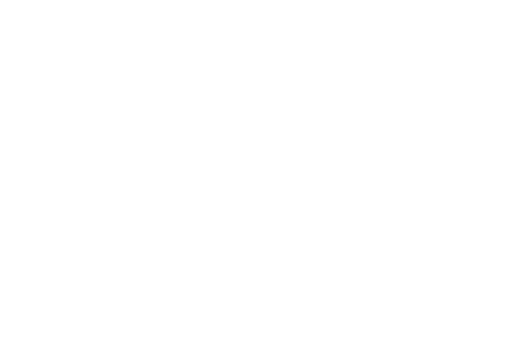 Valqerie